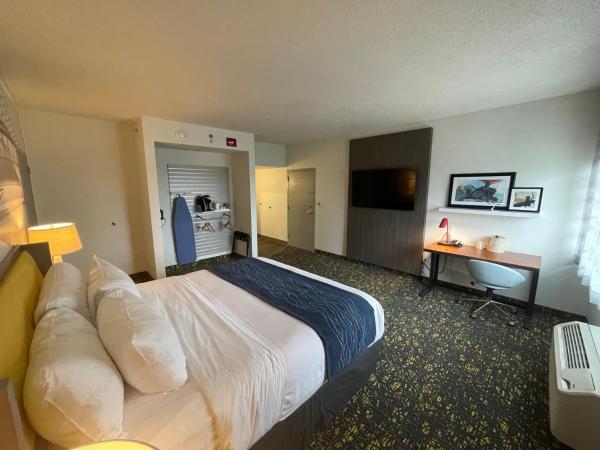 Saint Louis Airport Hotel : photo 3 de la chambre chambre lit king-size pour personnes à mobilité réduite