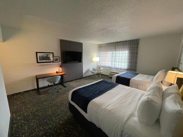 Saint Louis Airport Hotel : photo 6 de la chambre grande chambre double 