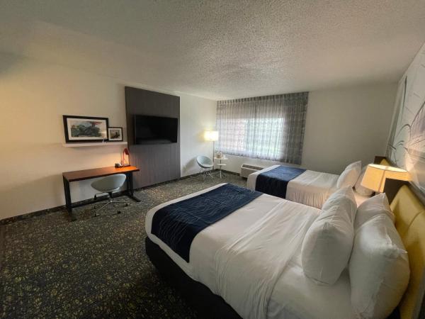 Saint Louis Airport Hotel : photo 4 de la chambre grande chambre double 