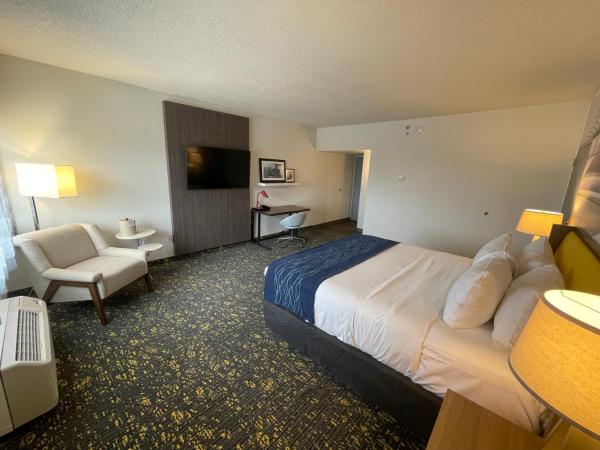 Saint Louis Airport Hotel : photo 3 de la chambre chambre lit king-size supérieure