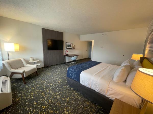 Saint Louis Airport Hotel : photo 5 de la chambre chambre lit king-size supérieure