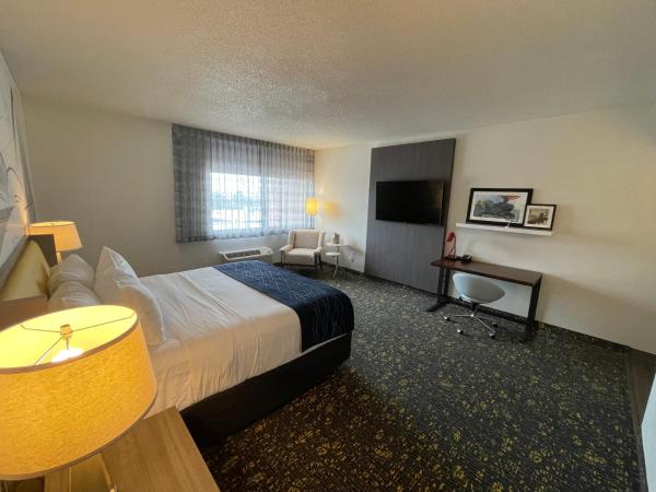 Saint Louis Airport Hotel : photo 9 de la chambre chambre lit king-size supérieure