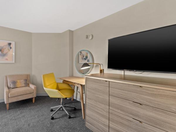 Crowne Plaza Houston Med Ctr-Galleria Area, an IHG Hotel : photo 3 de la chambre suite junior lit king-size