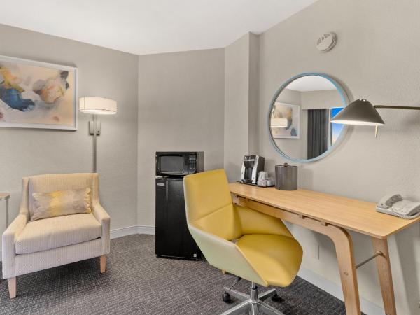 Crowne Plaza Houston Med Ctr-Galleria Area, an IHG Hotel : photo 4 de la chambre suite junior lit king-size