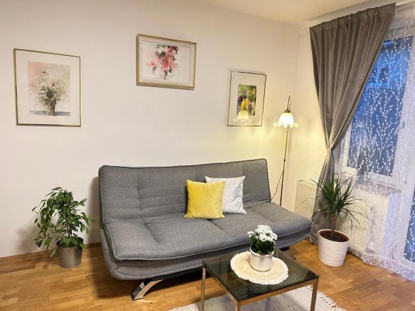Green Paradise & Cozy Retreat Salzburg with free parking : photo 10 de la chambre appartement 2 chambres