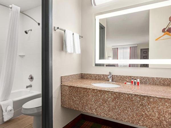 Ramada by Wyndham San Antonio Near SeaWorld - Lackland AFB : photo 1 de la chambre chambre lit king-size - non-fumeurs