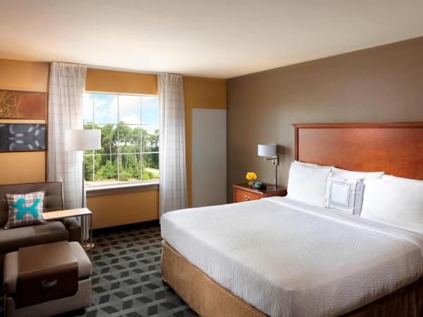 TownePlace Suites Houston Intercontinental Airport : photo 1 de la chambre studio lit king-size avec canapé-lit