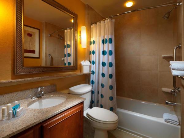 TownePlace Suites Houston Intercontinental Airport : photo 4 de la chambre studio lit king-size avec canapé-lit