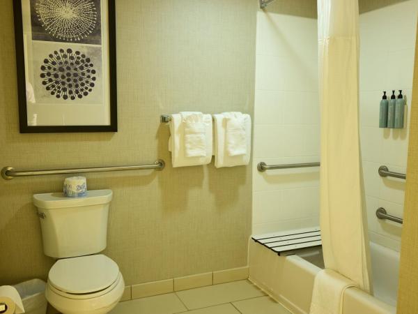 Residence Inn by Marriott Columbia Northwest/Harbison : photo 4 de la chambre studio lit king-size avec canapé-lit