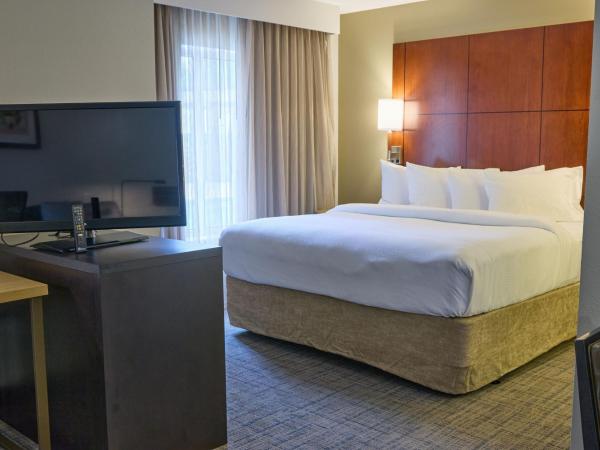Residence Inn by Marriott Columbia Northwest/Harbison : photo 6 de la chambre studio lit king-size avec canapé-lit