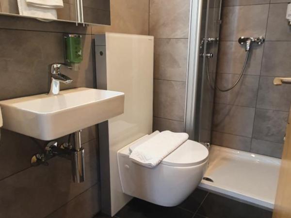 The Aarburg Hotel & Café : photo 4 de la chambre chambre double - vue sur montagne