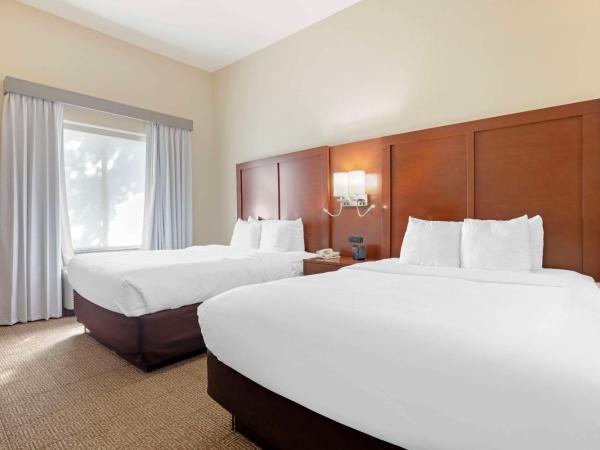 Comfort Suites West Dallas - Cockrell Hill : photo 4 de la chambre suite lit queen-size - accessible aux personnes à mobilité réduite/non-fumeurs