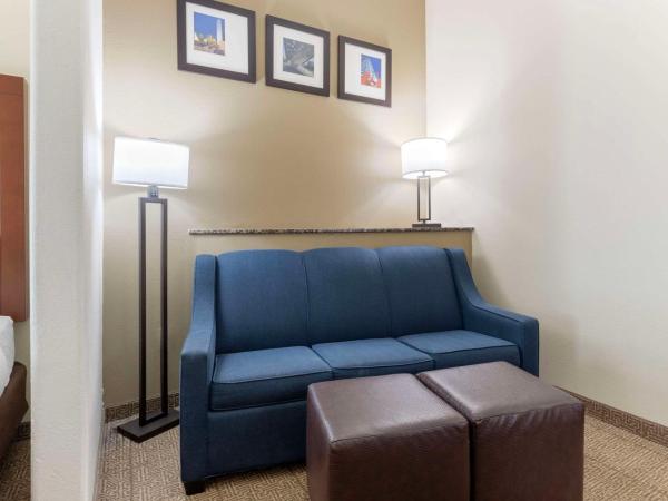 Comfort Suites West Dallas - Cockrell Hill : photo 5 de la chambre suite lit queen-size – non-fumeurs