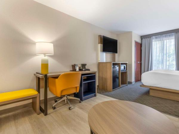 Comfort Suites Columbia Northeast - Fort Jackson : photo 3 de la chambre suite lit king-size – non-fumeurs