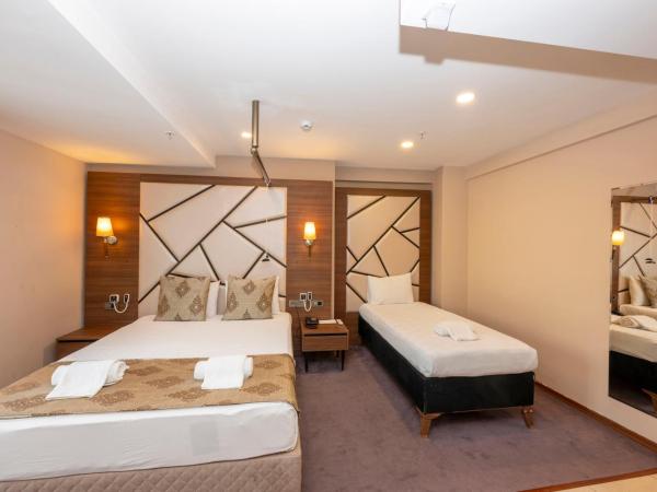 Litros Hotel & Spa : photo 3 de la chambre chambre triple - accessible aux personnes à mobilité réduite