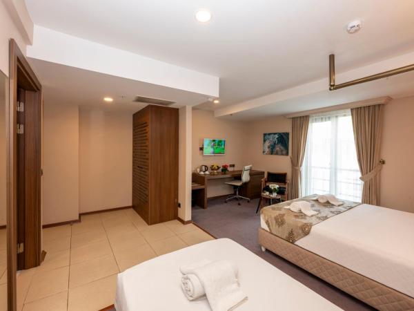 Litros Hotel & Spa : photo 5 de la chambre chambre triple - accessible aux personnes à mobilité réduite