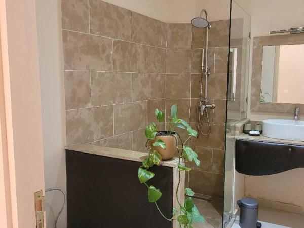 Eden Lodges & SPA : photo 7 de la chambre chambre double - vue sur jardin