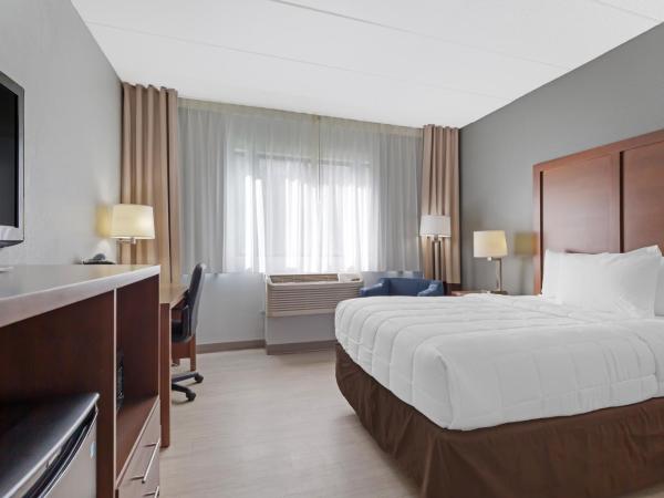 Clarion Hotel & Suites BWI Airport North : photo 2 de la chambre chambre lit king-size - accessible aux personnes à mobilité réduite/non-fumeurs