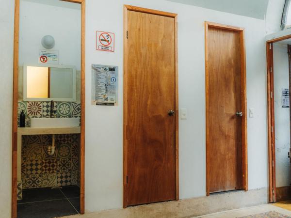 Che Nomadas Mérida Hostel Adults Only : photo 10 de la chambre lit dans dortoir féminin