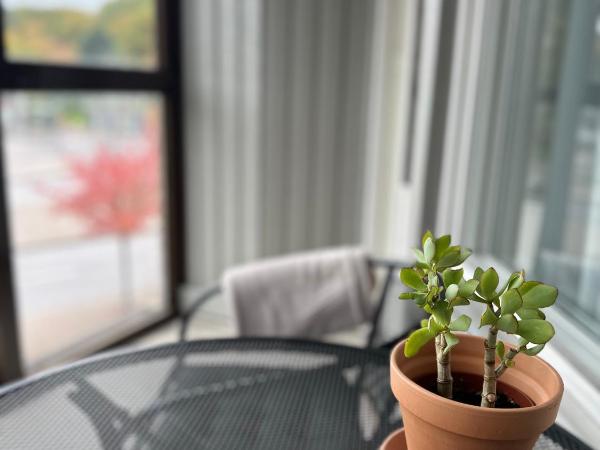 Linnéplatsens Hotell & Vandrarhem : photo 4 de la chambre chambre double standard avec salle de bains commune