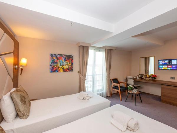 Litros Hotel & Spa : photo 3 de la chambre chambre double ou lits jumeaux standard