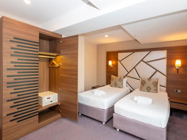 Litros Hotel & Spa : photo 2 de la chambre chambre double ou lits jumeaux standard