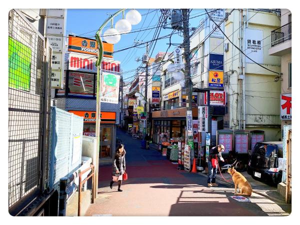 TOKYO/Shinjuku & Shibuya 10mins/5mins walk to subway stiaon/Kichijoji 15mins/Shimokitazawa 5mins/Louis House : photo 3 de la chambre chambre double avec toilettes communes