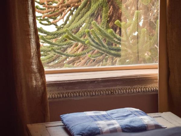 Los Juncos Patagonian Lake House : photo 7 de la chambre suite junior
