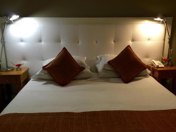 Purobaires Hotel Boutique : photo 10 de la chambre chambre double de luxe