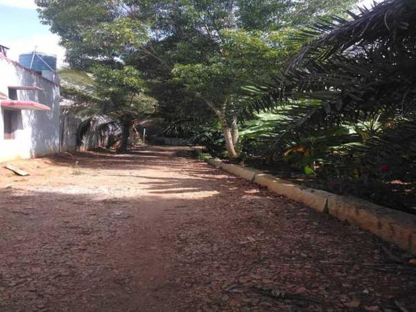 Mango Ville : photo 2 de la chambre villa 2 chambres :