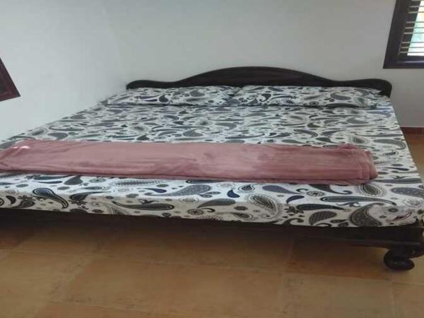 Mango Ville : photo 7 de la chambre villa 2 chambres :