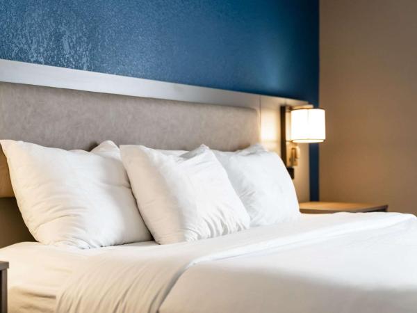 Comfort Suites Columbia Northeast - Fort Jackson : photo 4 de la chambre suite lit king-size – non-fumeurs