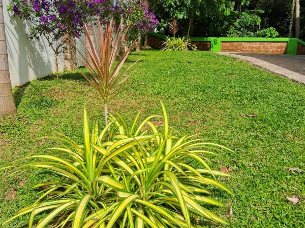 Shamrock Inn : photo 7 de la chambre chambre deluxe double ou lits jumeaux