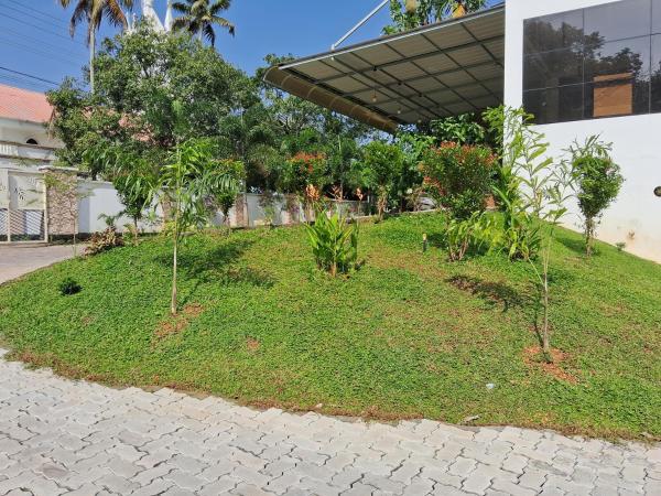 Shamrock Inn : photo 8 de la chambre chambre deluxe double ou lits jumeaux