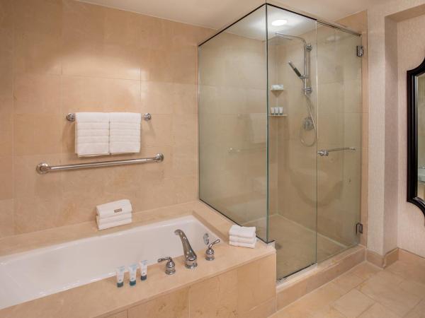 The Westin Riverwalk, San Antonio : photo 6 de la chambre suite studio 1 chambre lit king-size avec canapé-lit - vue sur ville