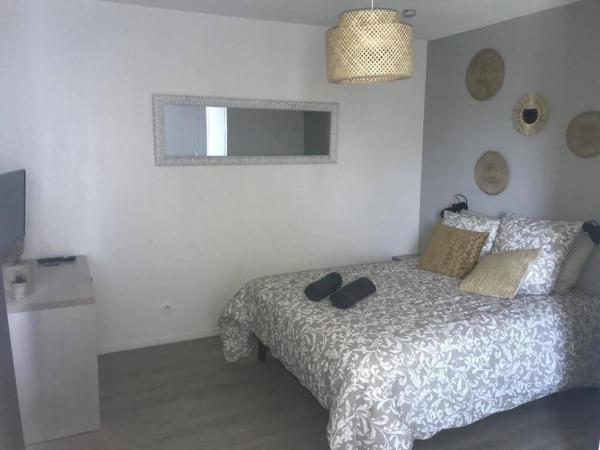 Appart'Hotel - Gare TGV - Courtine - Confluence - 202 : photo 6 de la chambre studio