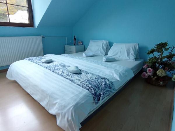 Penzion Jáchymov Pod Lanovkou : photo 8 de la chambre chambre lits jumeaux