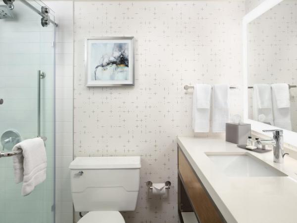 Crowne Plaza Houston Med Ctr-Galleria Area, an IHG Hotel : photo 7 de la chambre chambre lit king-size standard