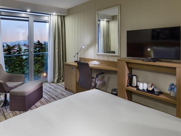 Hampton by Hilton Istanbul Atakoy : photo 3 de la chambre chambre lit queen-size