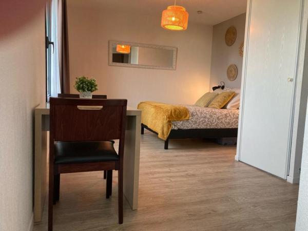 Appart'Hotel - Gare TGV - Courtine - Confluence - 202 : photo 7 de la chambre studio