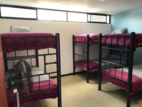 Santísimo Hostal Boutique : photo 1 de la chambre lit dans dortoir mixte de 8 lits 
