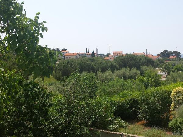 Guest House Jole : photo 9 de la chambre chambre double avec terrasse