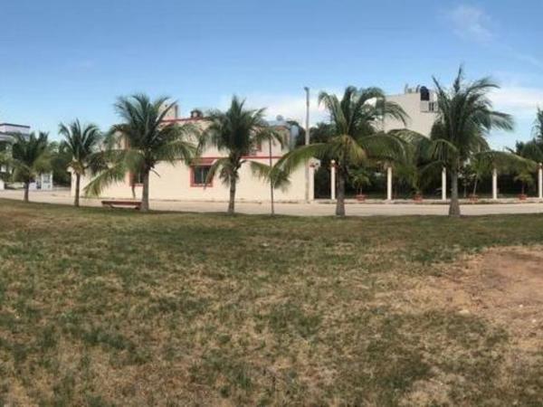 Cancun Ocean View KABIL Playa del Niño : photo 4 de la chambre studio lit king-size avec canapé-lit