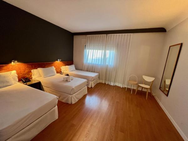 AP Hotel Madrid Airport : photo 4 de la chambre triple room - single beds