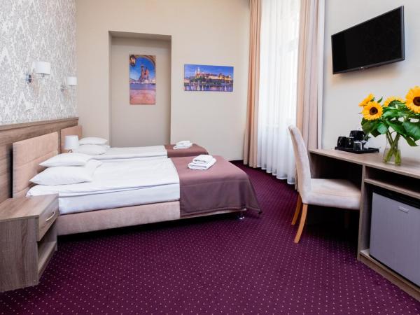 Hotel Maximum : photo 10 de la chambre chambre lits jumeaux