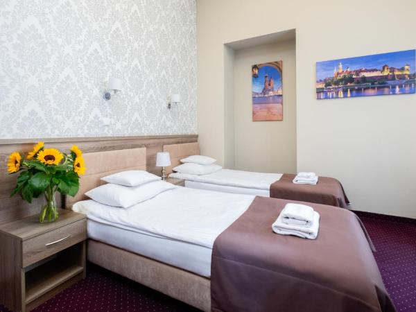 Hotel Maximum : photo 9 de la chambre chambre lits jumeaux