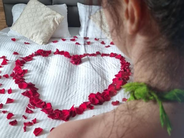 Emerald Spa Guest house : photo 6 de la chambre chambre lit king-size - vue sur jardin