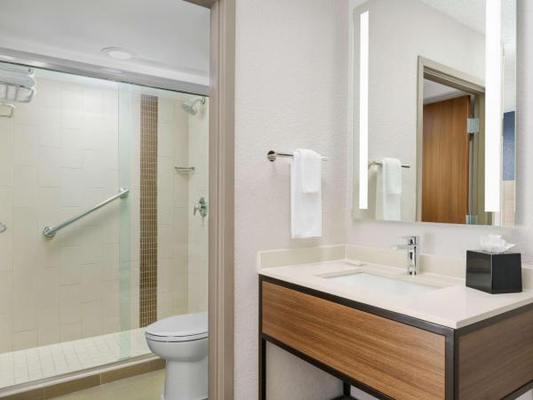 Hyatt Place Orlando / I-Drive / Convention Center : photo 7 de la chambre chambre lit king-size avec canapé-lit - Étage supérieur