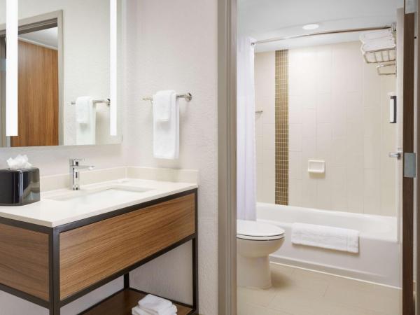 Hyatt Place Orlando / I-Drive / Convention Center : photo 8 de la chambre chambre avec 2 lits doubles et canapé-lit