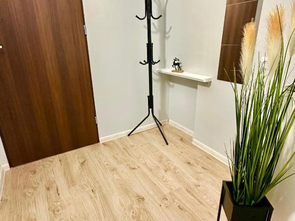 Grey House : photo 7 de la chambre studio deluxe